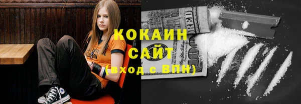 индика Кукмор