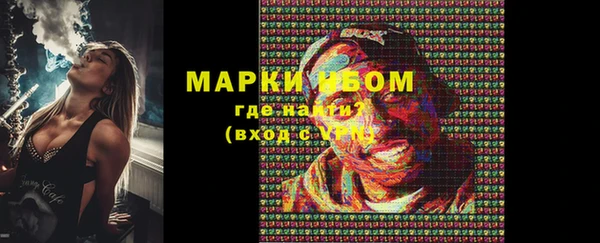 индика Кукмор
