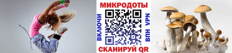 Галлюциногенные грибы MAGIC MUSHROOMS  Малмыж 